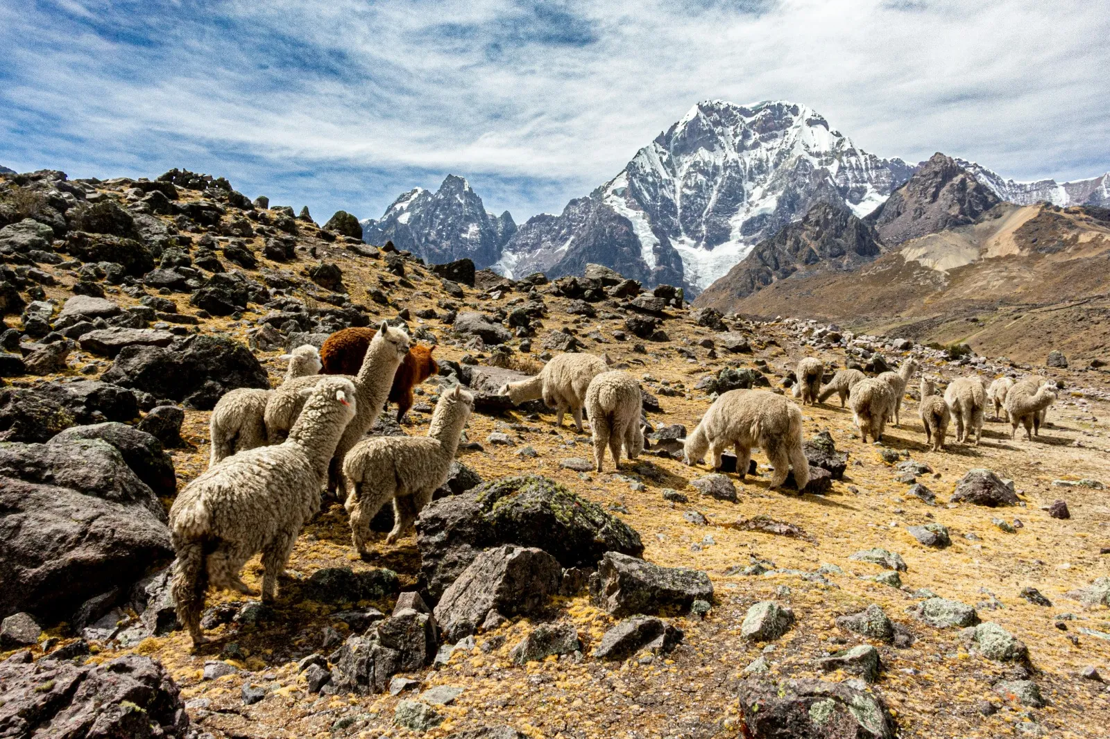 Ausangate Trek